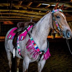 a brown horse wearing a pink blanket standing in an indoor arena with its head turned to the side