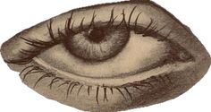 a drawing of an eye with long eyelashes