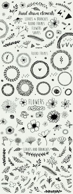 an image of flowers and leaves drawn in black ink on white paper with the words, plant