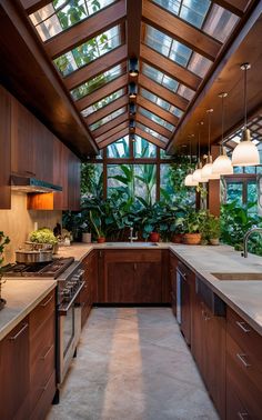 a kitchen with lots of plants in it