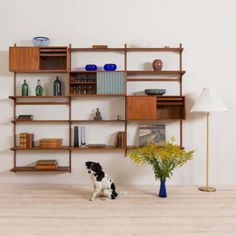 a black and white dog sitting in front of a book shelf