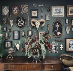 there is a vase with some plants in it on top of a dresser next to many framed pictures