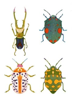 four different types of bugs are shown on the iphone screen, and there is also an image of them