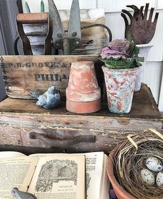 an old trunk with some bird's nest in it and two books on top