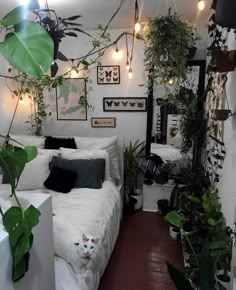 a bed room with a neatly made bed and lots of plants