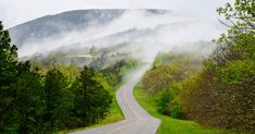 an empty road surrounded by trees and fog in the distance, with mountains in the background