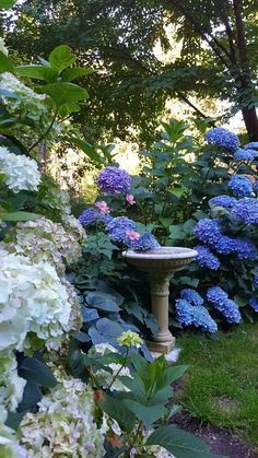 there is a bird bath in the middle of some flowers