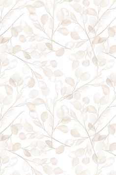 a white and beige wallpaper with leaves on the top, in an abstract pattern