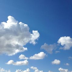 a group of people standing on top of a lush green field under a blue sky