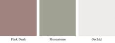 the different shades of gray and pink are shown in this color palette, which is also available