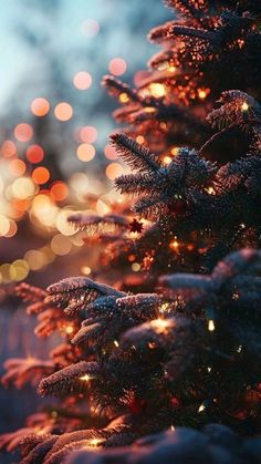 a close up of a christmas tree with lights in the background and snow on it