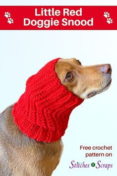 a brown dog wearing a red knitted neck warmer with the words little red doggie snood on it