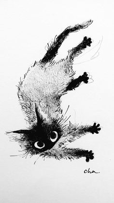 a black and white drawing of a cat flying through the air with it's front paws out