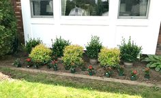 there are many potted plants in front of the house