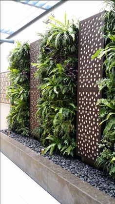 an outdoor living wall with plants growing on it