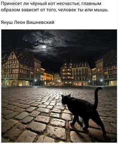 a black cat walking across a cobblestone street at night with the moon in the sky