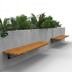 two wooden benches sitting next to a cement wall with plants growing on the top and bottom