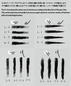 the instructions for how to draw an animal's tail with pencils and ink