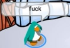 a cartoon penguin standing in front of a computer screen with the word fock on it