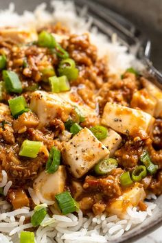 a bowl filled with rice, meat and green onions