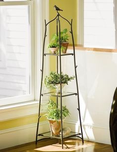 three tiered plant stand with potted plants and birdhouse in the corner, on hard wood flooring