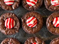 chocolate cookies decorated with candy canes and white frosting