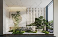 a bonsai tree is in the corner of a room with white walls and flooring