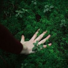 a hand reaching for something on the ground in some green grass with leaves around it