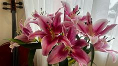 some pink flowers are in a vase by a window with a violin on the side