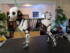 a dog that is dressed up like a skeleton with flowers on its head and legs