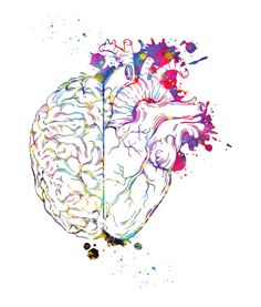 a drawing of a human heart with paint splatters on it's side