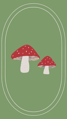 two red mushrooms sitting on top of a green field next to a white line in the middle