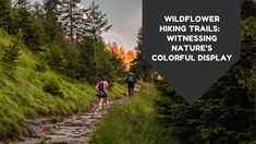 two people hiking on a trail with the words wildflower hiking trails witnessing nature's colorful display