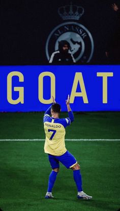 a man standing on top of a soccer field