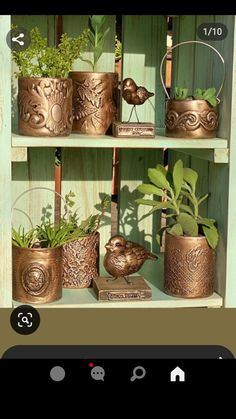 a shelf filled with potted plants and birds on top of eachother's shelves