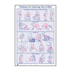 a poster showing the positions for laboring out of bed, including sitting and standing