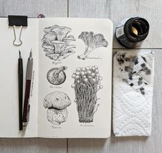 an open notebook with some drawings on it next to a pen and ink rollers