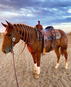 a brown horse standing on top of a sandy beach next to a wooden fence and sky