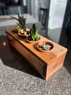 two small succulents in wooden containers on a counter top next to each other