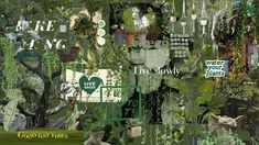 a collage of plants and trees with the words live slowly written in green letters