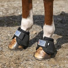 the legs and feet of a horse wearing slippers with labels on them, standing in gravel