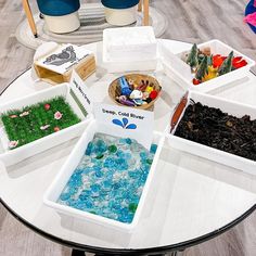 a glass table topped with lots of different types of plants and containers filled with water