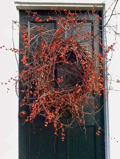 a wreath on the front door of a house with red berries hanging from it's branches