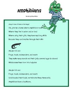 the frog and the amphibians worksheet is shown in this image