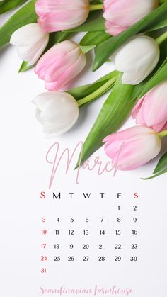 a calendar with pink and white tulips on it