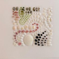 there are many different shells on the white wall and one is black, red, green, and white