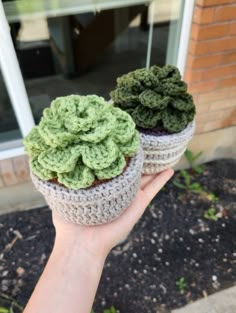 two crocheted pots with green plants in them are held up by someone's hand