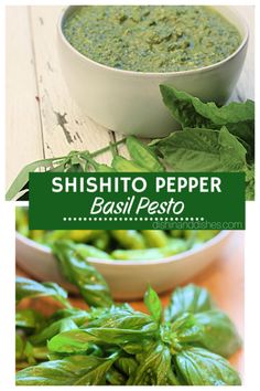 basil pesto in a white bowl next to fresh basil leaves on a wooden table