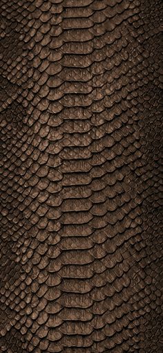 an elephant's skin is brown and has very large, wavy lines on it