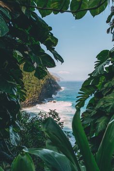 an ocean view through the leaves of trees